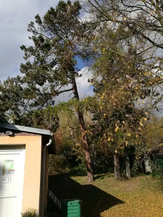Dendrologická stezka