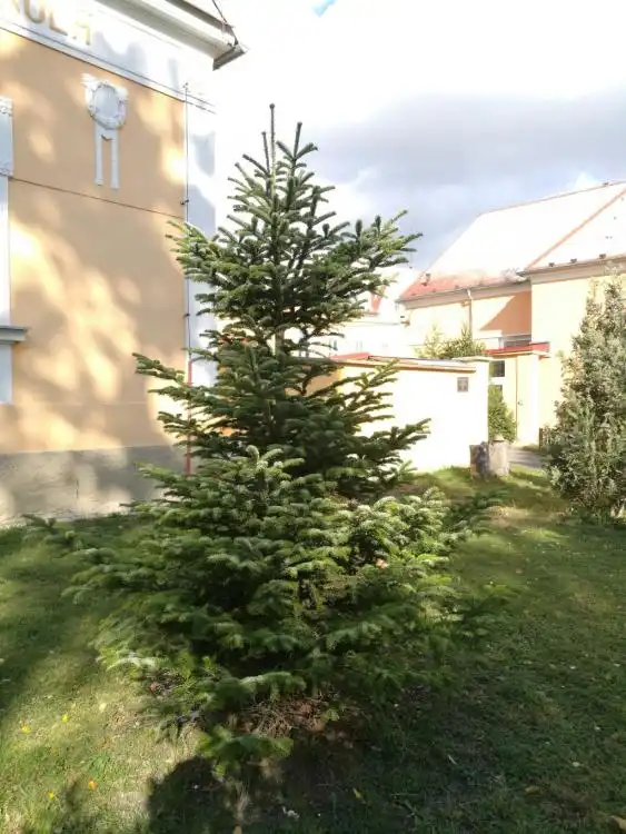 Dendrologická stezka