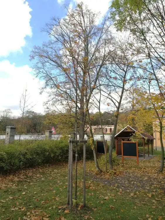 Dendrologická stezka