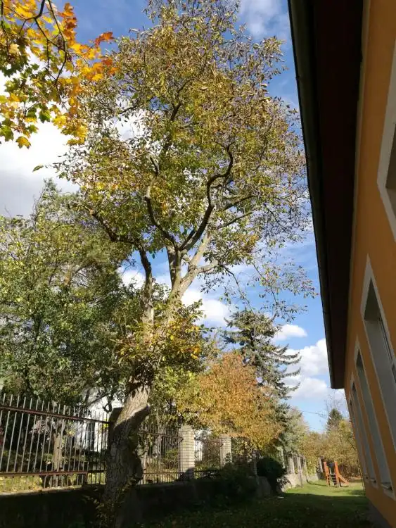 Dendrologická stezka