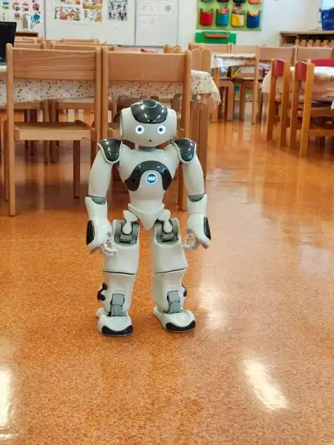 Robot Pipin