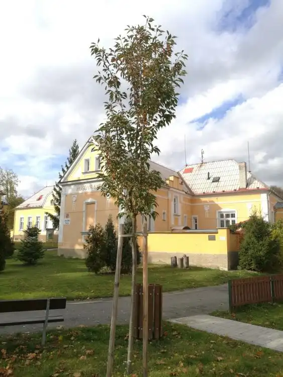 Dendrologická stezka